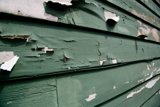 Best Siding Painting and Refinishing  in USA